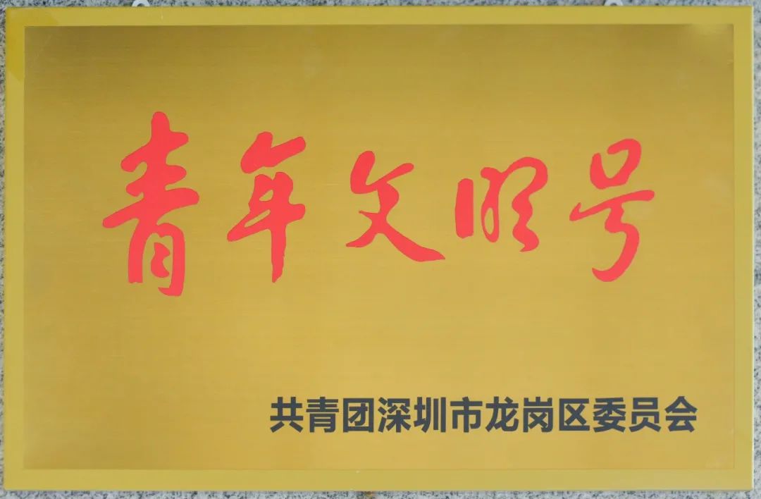 正青春 号飞扬 | 深圳携创高技校团委荣获